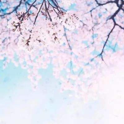 BO半岛综合app安全下载下载手机版